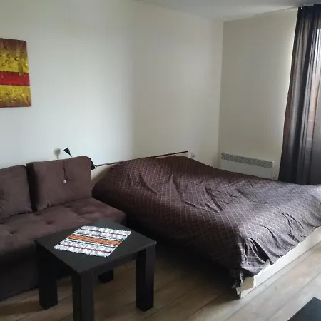 Alpine Lodge, Bansko, Studio 4 Personne, Bansko